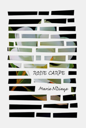 Rosie Carpe, livro de Marie NDiaye, Ímã Editorial